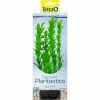 TETRA Kunststoffpflanze »DecoArt Plant «, Hygrophila M, Grün, Für Aquarien -Günstiges Tierbedarf Geschäft unnamed file 15512