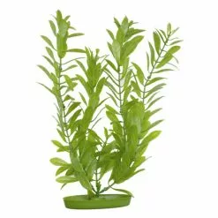 MARINA Aquarienpflanzen, Grün, Für Aquaristik/Terraistik