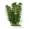 MARINA Aquarienpflanzen, Grün, Für Aquaristik/Terraistik -Günstiges Tierbedarf Geschäft unnamed file 15518