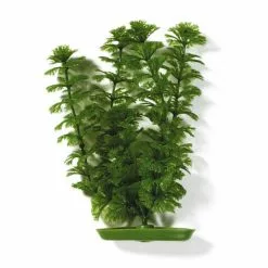 MARINA Aquarienpflanzen, Grün, Für Aquaristik/Terraistik