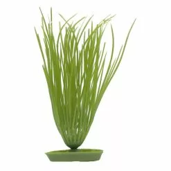 MARINA Aquarienpflanzen, Grün, Für Aquaristik/Terraistik