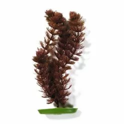 MARINA Aquarienpflanzen, Rotbraun, Für Aquaristik/Terraistik