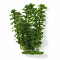 MARINA Aquarienpflanzen, Grün, Für Aquaristik/Terraistik