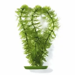 MARINA Aquarienpflanzen, Grün, Für Aquaristik/Terraistik