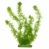 MARINA Aquarienpflanzen, Grün, Für Aquaristik/Terraistik -Günstiges Tierbedarf Geschäft unnamed file 15530