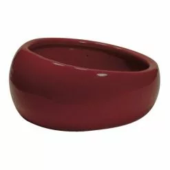 Living World Keramiknapf, Keramik, Terracotta