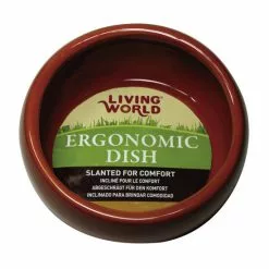 Living World Keramiknapf, Keramik, Terracotta