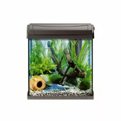Tetra AquaArt Aquarium Komplett-Set Anthrazit 30L 8 Tetra AquaArt Aquarium Komplett-Set Anthrazit 30L -Günstiges Tierbedarf Geschäft unnamed file 15858