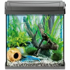 Tetra AquaArt Aquarium Komplett-Set Anthrazit 30L 9 Tetra AquaArt Aquarium Komplett-Set Anthrazit 30L -Günstiges Tierbedarf Geschäft unnamed file 15859