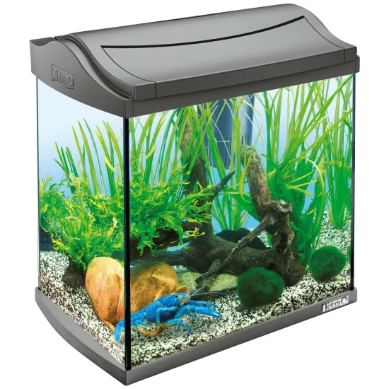 Tetra AquaArt Aquarium Komplett-Set Anthrazit 30L 6 Tetra AquaArt Aquarium Komplett-Set Anthrazit 30L – Bild 4
