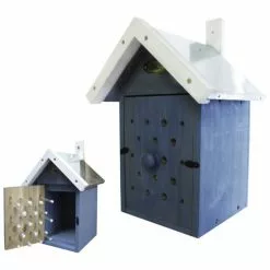 HABAU Bienen-Beobachtungen