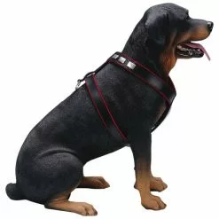 Hunde-Geschirr »Modern Art«, Größe: 80-90 Cm, Rindsleder, Schwarz 7 Hunde-Geschirr »Modern Art«, Größe: 80-90 Cm, Rindsleder, Schwarz -Günstiges Tierbedarf Geschäft unnamed file 15890