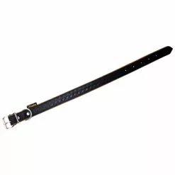 Hundehalsband, Größe: 40 Cm, Rindsleder, Schwarz/cognacfarben -Günstiges Tierbedarf Geschäft unnamed file 15903