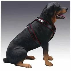 Hunde-Geschirr »Modern Art«, Größe: 75-85 Cm, Rindsleder, Schwarz -Günstiges Tierbedarf Geschäft unnamed file 15921