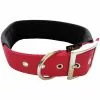 Hundehalsband, Größe: 50 Cm, Rot -Günstiges Tierbedarf Geschäft unnamed file 15925
