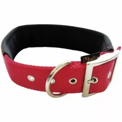 Hundehalsband, Größe: 50 Cm, Rot