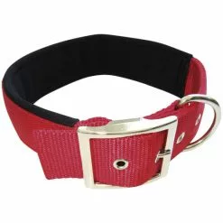 Hundehalsband, Größe: 50 Cm, Rot -Günstiges Tierbedarf Geschäft unnamed file 15930