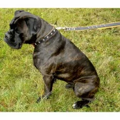 Hundeleine »Modern Art«, Größe: 200 Cm, Leder, Schwarz/natur -Günstiges Tierbedarf Geschäft unnamed file 15939