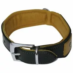 Hundehalsband, Größe: 45 Cm, Rindsleder, Gruen/cognacfarben -Günstiges Tierbedarf Geschäft unnamed file 15944