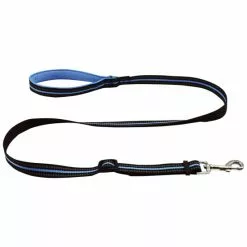 Hundeleine, Größe: 100 - 140 Cm, Blau