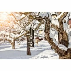 WINDHAGER Futtersäule Saatmischung 8 WINDHAGER Futtersäule Saatmischung -Günstiges Tierbedarf Geschäft unnamed file 1595