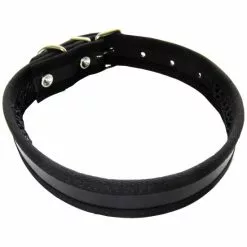 Hundehalsband, Größe: 60 Cm, Rindsleder, Schwarz -Günstiges Tierbedarf Geschäft unnamed file 16010