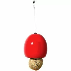 LUXUS-VOGELHAUS Futterspender, Für Wildvögel, Keramik/Edelstahl, Rot/grün/blau -Günstiges Tierbedarf Geschäft unnamed file 16080