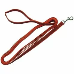 HEIM Hundeleine, Modern Art, 10m, Gurtband, Orange