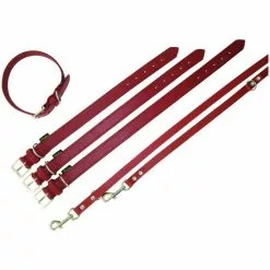 HEIM Halsband, Florenz, 2,5/ 40 Cm, Rindsleder, Rot -Günstiges Tierbedarf Geschäft unnamed file 16159