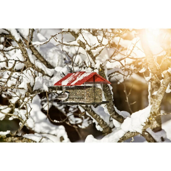 WINDHAGER Vogelfuttersilo Ranch 4 WINDHAGER Vogelfuttersilo Ranch – Bild 2