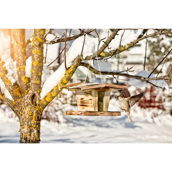WINDHAGER Vogelfutterhaus Chalet 4 WINDHAGER Vogelfutterhaus Chalet – Bild 2