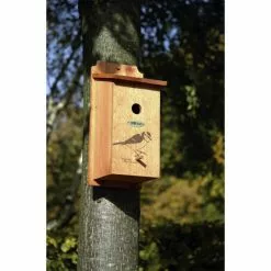 DOBAR Nistkasten, BxHxL: 16 X 32 X 16 Cm, Holz, Braun 10 DOBAR Nistkasten, BxHxL: 16 X 32 X 16 Cm, Holz, Braun -Günstiges Tierbedarf Geschäft unnamed file 16323