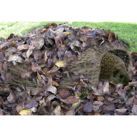 HABAU Igelhaus Braun 6 HABAU Igelhaus Braun – Bild 4