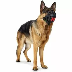 HUNTER Maulkorb »Albury«, Für Hunde, Elastomer/Polyester/Zink, Schwarz -Günstiges Tierbedarf Geschäft unnamed file 172