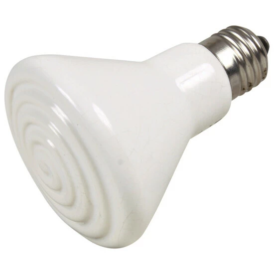 TRIXIE Terrarienbeleuchtung, Keramik Infrarotwärmestrahler 3 TRIXIE Terrarienbeleuchtung, Keramik Infrarotwärmestrahler