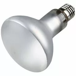 TRIXIE Terrarienbeleuchtung, ProSun Mixed D3