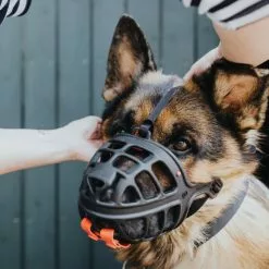 HUNTER Maulkorb »Albury«, Für Hunde, Elastomer/Polyester/Zink, Schwarz -Günstiges Tierbedarf Geschäft unnamed file 177