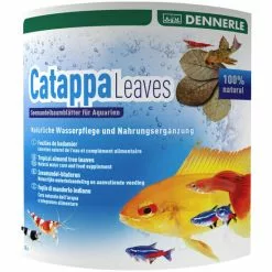 DENNERLE Nahrungsergänzung »Catappa Leaves«, 10 Blätter