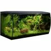 Fluval Aquarium Flex , Mit Gewölbter Vorderseite, 123 L -Günstiges Tierbedarf Geschäft unnamed file 1862