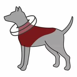 TRIXIE Schutzkragen, Für Hunde, Dunkelblau -Günstiges Tierbedarf Geschäft unnamed file 1899