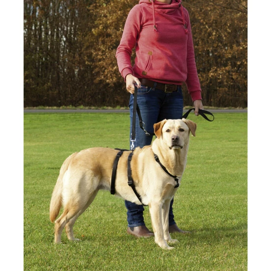 Hunde-Geschirr, L–XL, Nylon, Schwarz 4 Hunde-Geschirr, L–XL, Nylon, Schwarz – Bild 2