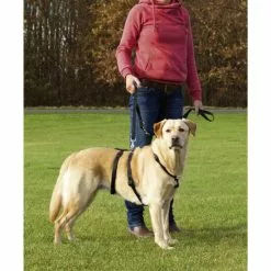 Hunde-Geschirr, M–L, Nylon, Schwarz -Günstiges Tierbedarf Geschäft unnamed file 2017