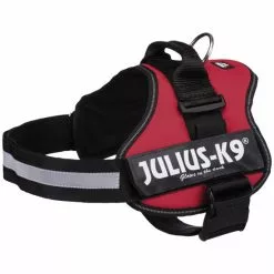 Hunde-Geschirr, 2/L–XL, Nylon, Rot