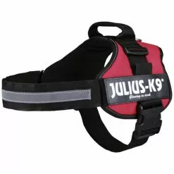 Hunde-Geschirr, 1/L, Nylon, Rot -Günstiges Tierbedarf Geschäft unnamed file 2053