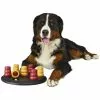 TRIXIE Spielzeug »Dog Activity - Solitär«, Blau/weiß, Für Hunde -Günstiges Tierbedarf Geschäft unnamed file 2088