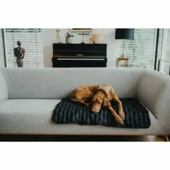 HUNTER Hunde-Decke, BxL: 70 X 100 Cm, Schwarz 9 HUNTER Hunde-Decke, BxL: 70 X 100 Cm, Schwarz -Günstiges Tierbedarf Geschäft unnamed file 2145