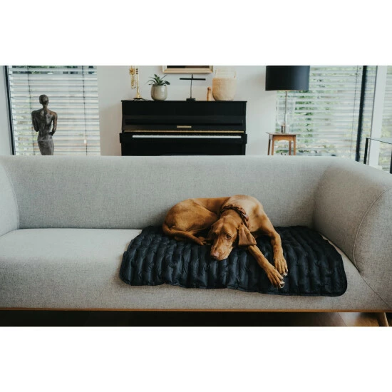 HUNTER Hunde-Decke, BxL: 70 X 100 Cm, Schwarz 6 HUNTER Hunde-Decke, BxL: 70 X 100 Cm, Schwarz – Bild 4