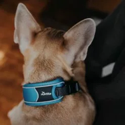 HUNTER Halsung, Gr. L, Hellblau/grau -Günstiges Tierbedarf Geschäft unnamed file 2194