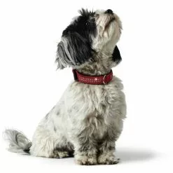 HUNTER Halsband »Softie«, Gr. XS, Rot/schwarz -Günstiges Tierbedarf Geschäft unnamed file 2222