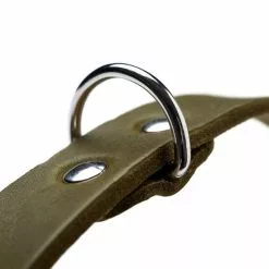 HUNTER Halsband, Gr. L, Olivgrün -Günstiges Tierbedarf Geschäft unnamed file 2340